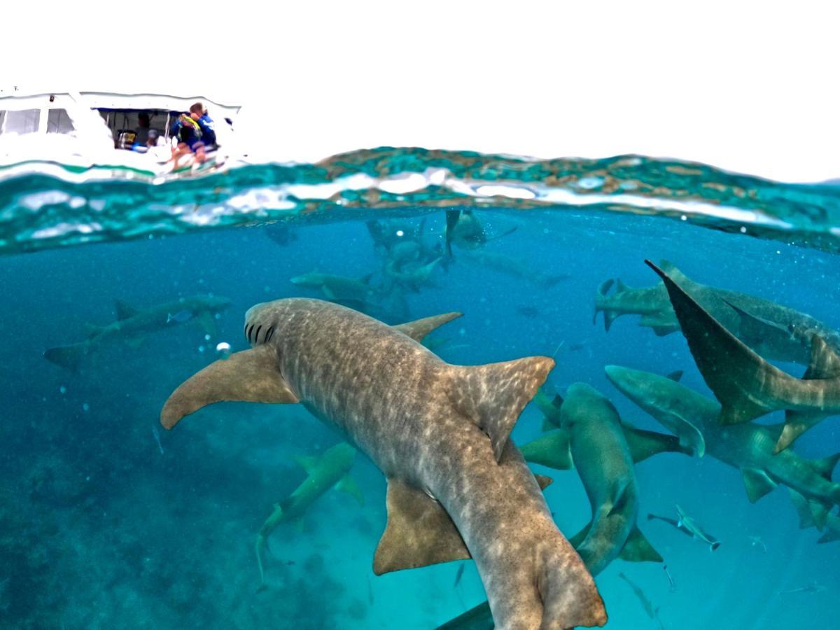 Adroit Beach Inn Guraidhoo  Eksteriør bilde