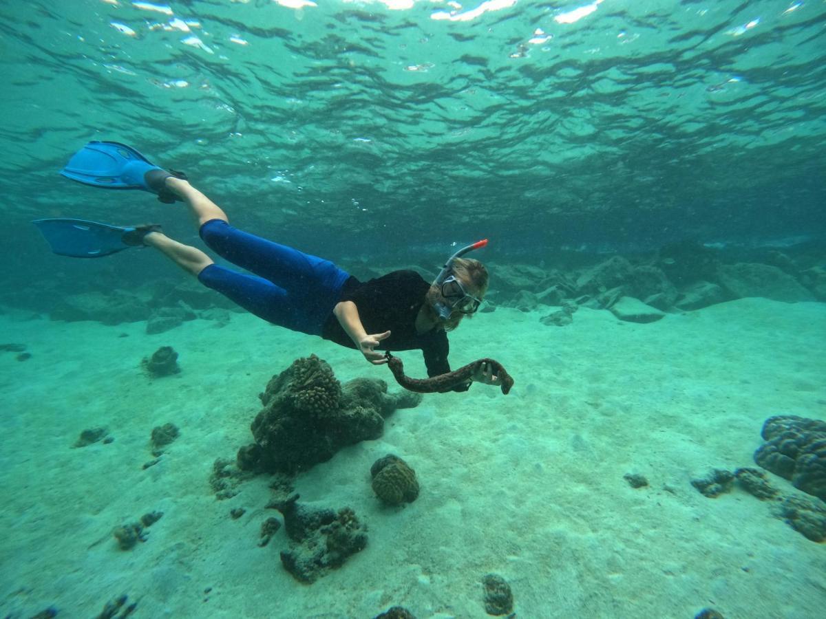 Adroit Beach Inn Guraidhoo  Eksteriør bilde