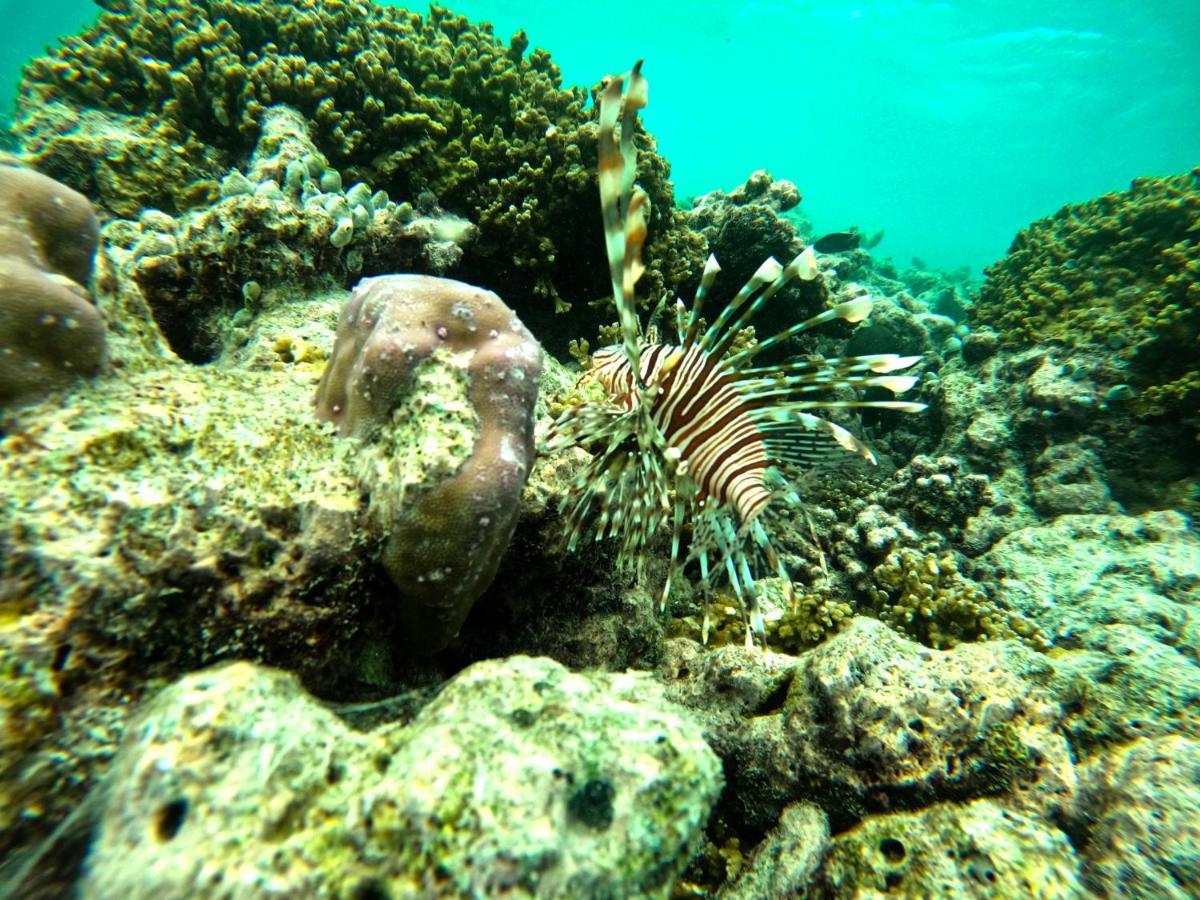 Adroit Beach Inn Guraidhoo  Eksteriør bilde