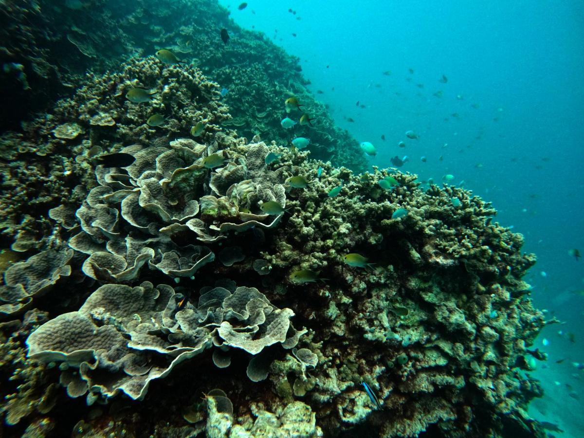 Adroit Beach Inn Guraidhoo  Eksteriør bilde